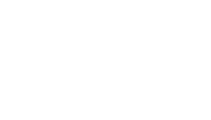 Hedland Flow Meters