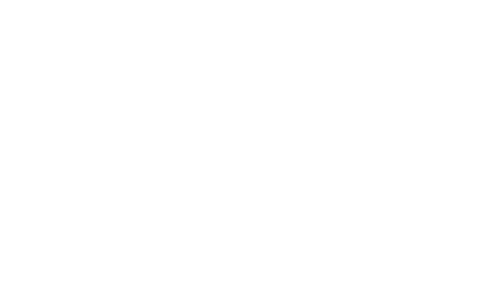 Interface Devices
