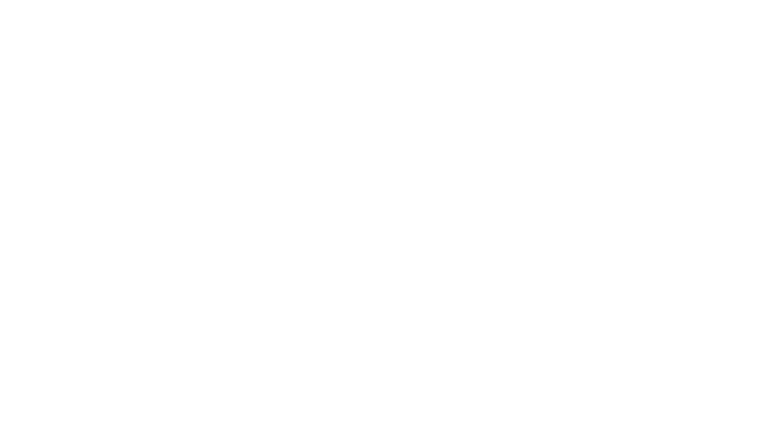 Polygon-Logo white
